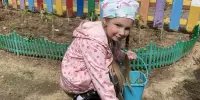 Посадили огород - посмотрите, что растет?