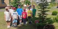 Путешествие по дорожкам экологической тропы