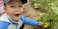 Трудимся с любовью
