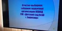 Отчетно-выборное собрание первичной организации ОСВОД